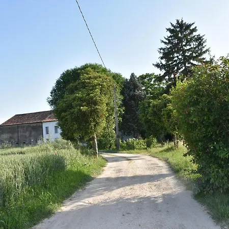 Πανσιόν Tenuta Borgato Morelli 4*