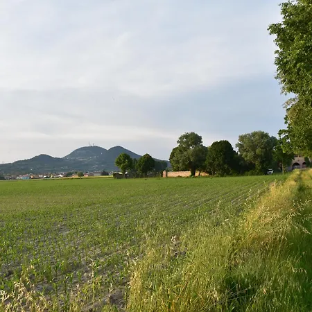 Tenuta Borgato Morelli 4*