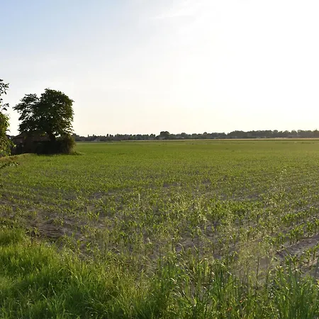 Tenuta Borgato Morelli 4* Este