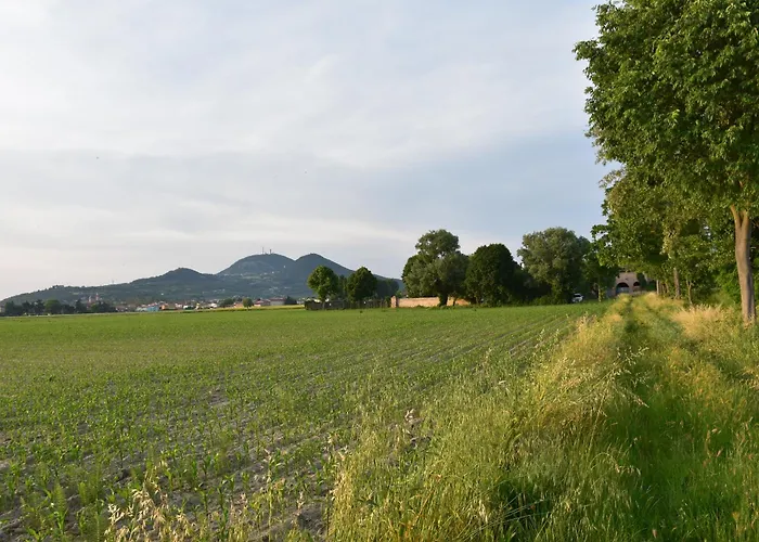 Tenuta Borgato Morelli 4*