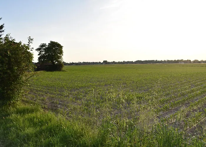 Tenuta Borgato Morelli 4* エステ